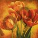Orange Tulips 2 - Pedersen