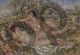 Pierre-Auguste Renoir, Le bagnanti