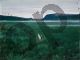 Theodor Kittelsen, The twelve wild ducks