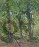 Trees - Van Gogh Vincent