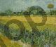 Field with Flowers near Arles - Van Gogh Vincent