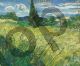 Green Field - Van Gogh Vincent