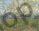 The Pink Orchard - Van Gogh Vincent