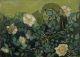 Wild roses - Van Gogh Vincent