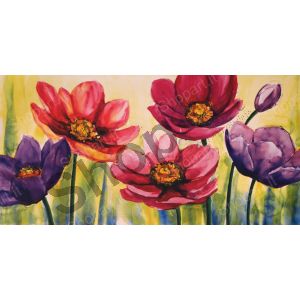 Fantasia di Anemoni - Tartagni Giuseppina