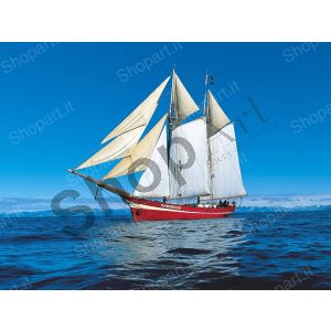 Sail Boat - Photography