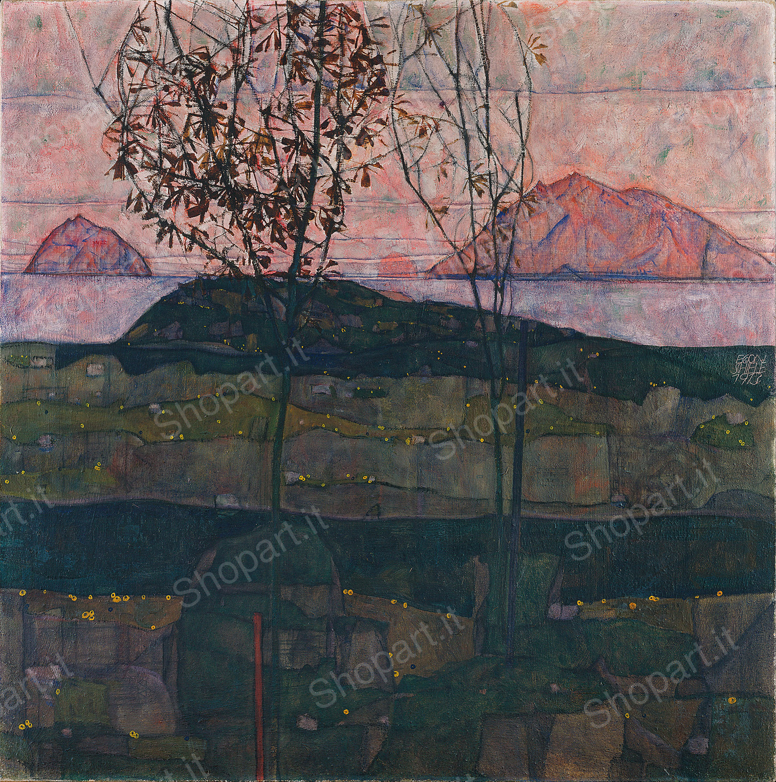 base image